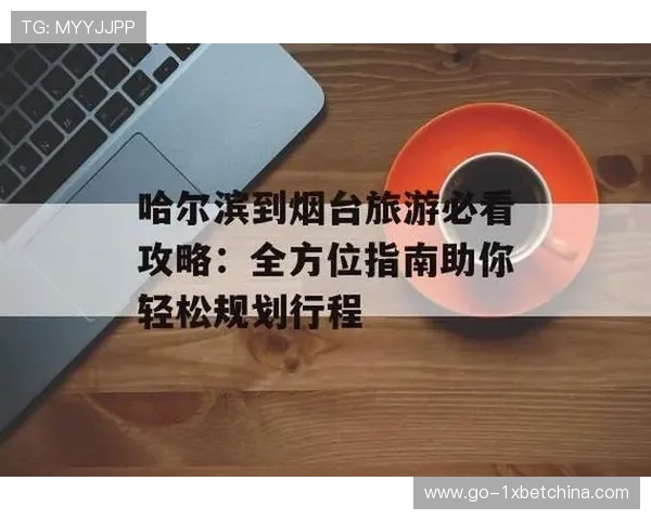 2026年世界杯捷克对南非比赛现场观赛流程及购票攻略全方位指南 2026年世界杯捷克对南非比赛现场观赛流程及购票攻略全方位指南